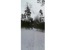 IMG 20210314 112412.jpg