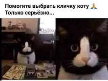 FB IMG 1614942794645.jpg