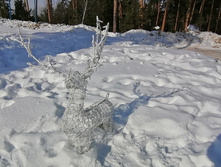 IMG 20210306 105007.jpg