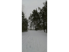 IMG 20210320 110658.jpg