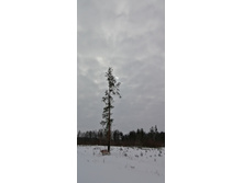 IMG 20210228 120453.jpg