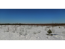 IMG 20210328 092559.jpg