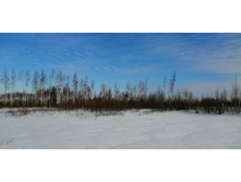 IMG 20210321 093540.jpg