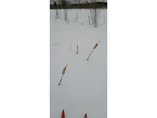 IMG 20210320 124453.jpg