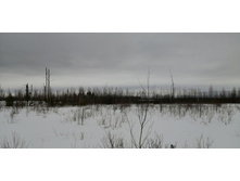 IMG 20210320 121831.jpg