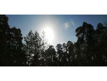 IMG 20210306 114454.jpg