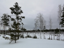 IMG 20210320 112834.jpg