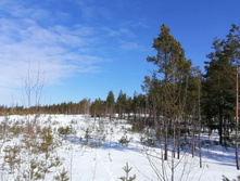 IMG 20210321 105545.jpg