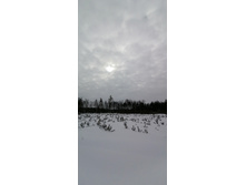 IMG 20210228 121132.jpg