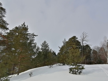 IMG 20210306 111056.jpg