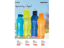 Specpredlozheniya marta rossiya 0007.jpg