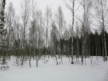 IMG 20210314 115120.jpg