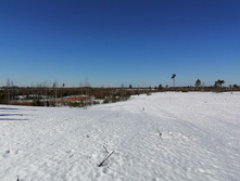 IMG 20210328 092026.jpg