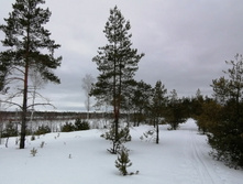 IMG 20210320 112827.jpg