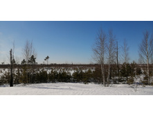 IMG 20210328 091134.jpg