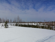 IMG 20210321 102201.jpg