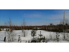 IMG 20210321 095648.jpg