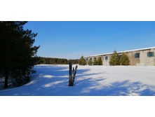 IMG 20210327 091959.jpg