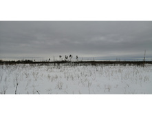 IMG 20210320 122615.jpg