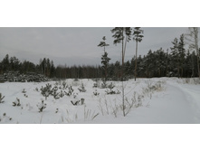 IMG 20210228 115534.jpg