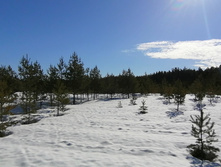 IMG 20210404 093351.jpg