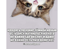 ������� ������� ԣ���� ����� ���� ���� ���������� �� ���� �� ����� ��� �� ���� � ���� �� ����� ���� �� � ���� ���