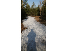 IMG 20210417 075348.jpg