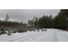 IMG 20210403 100642.jpg