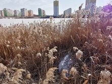 IMG 20210410 144758.jpg