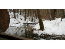 IMG 20210403 103506.jpg