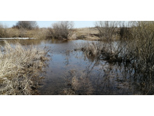 IMG 20210416 092001.jpg