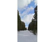 IMG 20210403 120615.jpg