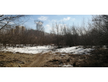 IMG 20210410 142854.jpg