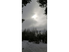 IMG 20210403 092600.jpg