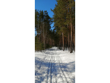 IMG 20210404 094733.jpg