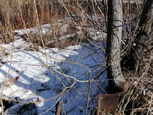 IMG 20210411 092848.jpg