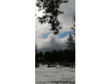 IMG 20210403 115718.jpg