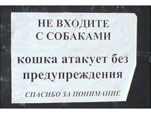 �� ������� � ��������. ����� ������� ��� ��������������. ������� �� ���������.