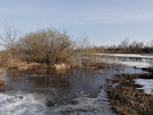 IMG 20210416 073833.jpg