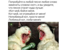 ���������� � ����� ����� ����� ����� �������� ������ '���', � �� ������� ��� ����� ������ ���� �����!