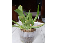 IMG 20210404 125133[1].jpg