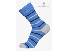 PN-141 ������� ����� ������� PANTELEMONE