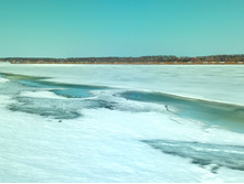 20210411 ��-���-������-��������-�� 124907.jpg