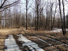 IMG 20210417 084421.jpg