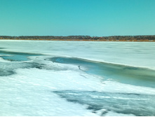 20210411 ��-���-������-��������-�� 125037.jpg