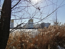 IMG 20210410 144901.jpg