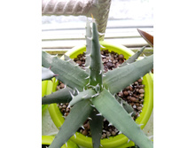 IMG 20210404 120904[1].jpg