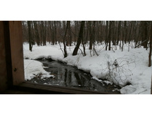 IMG 20210403 104114.jpg