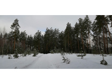 IMG 20210403 095647.jpg