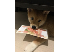 ����� �� �ӣ, ��� ����� ...